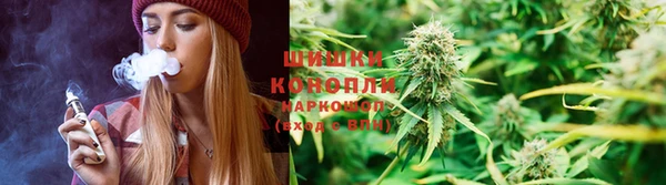 тгк Касимов