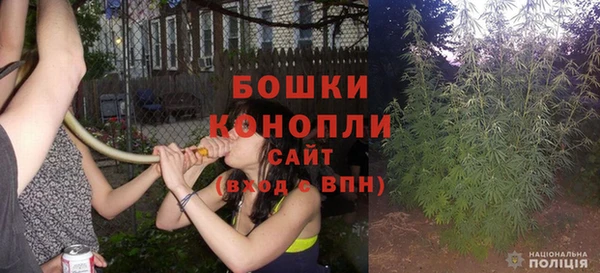 тгк Касимов